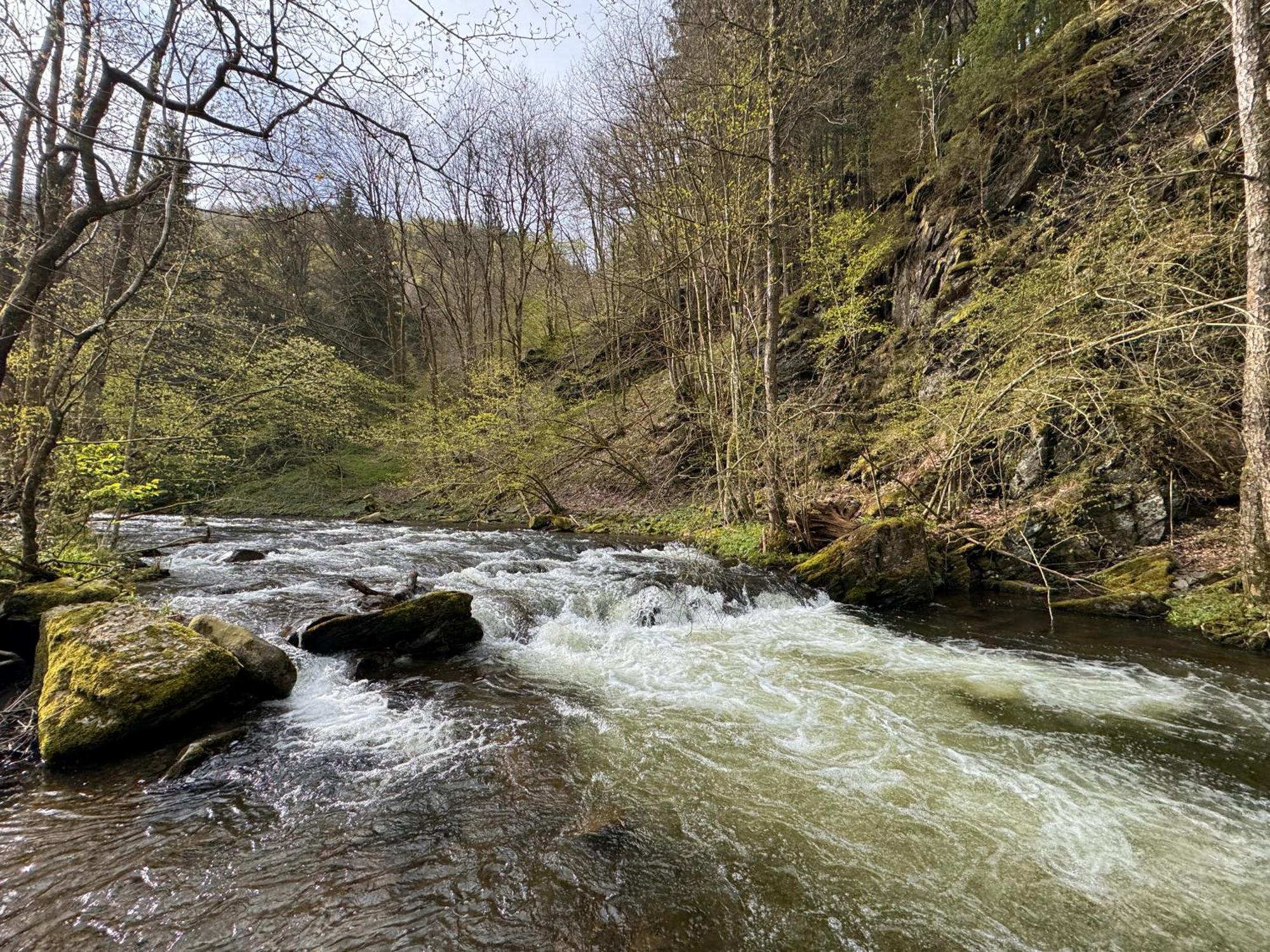 Le Dragon - Gite Accueillant Malmedy Kültér fotó